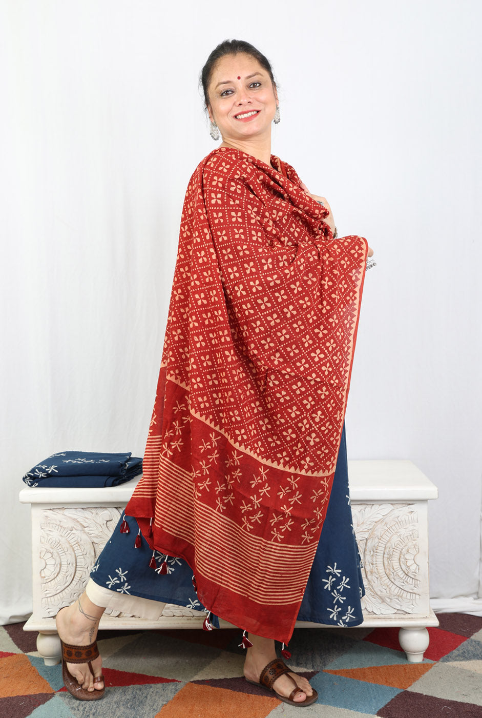 Alahi Blue Ajrakh A-Line Kalidar Kurta with Dragonfly Block