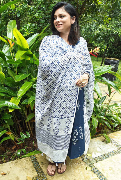 Dragonfly Handblock Ajrakh White Dupatta